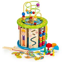 Wooden cube educational games, blocks, catching fish цена и информация | Развивающие игрушки | kaup24.ee