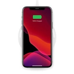 Belkin Wireless Charging Pad with PSU USB зарядное устройство цена и информация | Зарядные устройства для телефонов | kaup24.ee