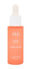 Ren Perfect Canvas meigialuskreem 30 ml hind ja info | Jumestuskreemid, puudrid | kaup24.ee