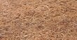 Sensillo beebimadrats lateks-poroloon-kookos 120 x 60 x 12 cm hind ja info | Madratsid | kaup24.ee