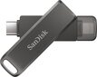 USB 3.2 Gen 1 mälupulk 128GB SanDisk iXpand : SDIX70N-128G-GN6NE hind ja info | Mälupulgad | kaup24.ee