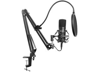 Mikrofoni KIT Sandberg 126-07 цена и информация | Микрофоны | kaup24.ee