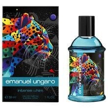 Emanuel Ungaro Intense For Him EDP meestele 100 ml hind ja info | Meeste parfüümid | kaup24.ee