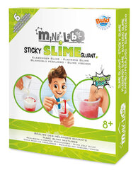 Mini Lab Lima цена и информация | Развивающие игрушки | kaup24.ee
