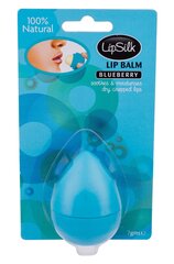 Xpel LipSilk Blueberry huulepalsam 7 g hind ja info | Huulepulgad, -läiked, -palsamid, vaseliin | kaup24.ee