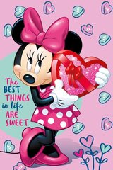 Pleed Minnie 100 x 150 cm цена и информация | Покрывала, пледы | kaup24.ee