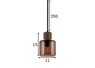 Подвесной светильник Globen Lighting Dot цена и информация | Потолочный светильник, 38 x 38 x 24 см | kaup24.ee