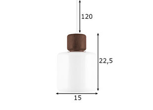 Laelamp Dot 23 891111681 hind ja info | Rippvalgustid | kaup24.ee