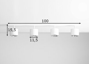 Laelamp Bot, valge 891149870 цена и информация | Потолочные светильники | kaup24.ee