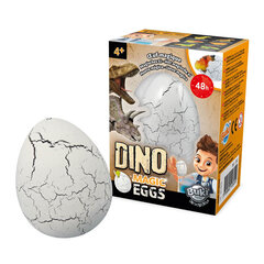 Волшебное яйцо динозавра Буки цена и информация | Развивающие игрушки и игры | kaup24.ee