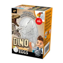 Волшебное яйцо динозавра Буки цена и информация | Развивающие игрушки | kaup24.ee