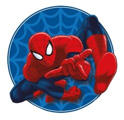 Dekoratiivpadi Spiderman hind ja info | Dekoratiivpadjad ja padjakatted | kaup24.ee