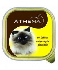 Консервы с птицей Athena Cat, 100 г - 20 шт. цена и информация | Кошачьи консервы | kaup24.ee