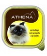 Athena Товары для животных по интернету