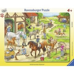 Ravensburger suur plaatpusle 40 tk Ratsabaas hind ja info | Pusled | kaup24.ee