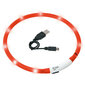 FLAMINGO KASSI LED KAELARIHM VISIO USB 20-35CM PUNANE hind ja info | Jalutusrihmad, kaelarihmad ja traksid kassidele | kaup24.ee
