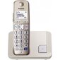 Panasonic KX-TGE210, hõbedane hind ja info | Lauatelefonid | kaup24.ee