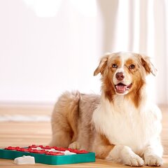 Nina Ottosson интерактивная игрушка для собак Dog Brick цена и информация | Игрушки для собак | kaup24.ee