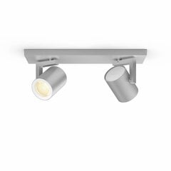 Philips Hue - Argenta plate/spiral -White and Color Ambiance цена и информация | Монтируемые светильники, светодиодные панели | kaup24.ee