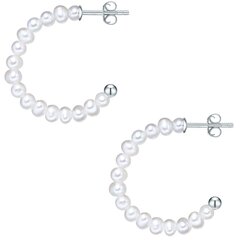 Сережки Valero Pearls 891161400 цена и информация | Серьги | kaup24.ee