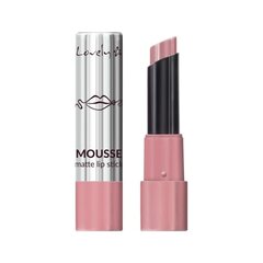 Wibo Lovely Mousse Matte huulepulk - Mousse Matte 1 hind ja info | Huulepulgad, -läiked, -palsamid, vaseliin | kaup24.ee