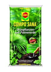 Compo palmi- ja roheliste taimede muld 5L hind ja info | Compo Aiakaubad | kaup24.ee