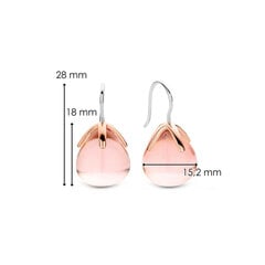 Ti Sento roosa kiviga tilgakujulised kõrvarõngad 901011462 hind ja info | Kõrvarõngad | kaup24.ee