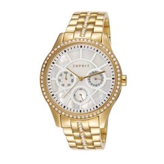 Esprit женские часы Paradiso   901009854 цена и информация | Женские часы | kaup24.ee