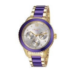 Esprit женские часы Marin   901009872 цена и информация | Женские часы | kaup24.ee