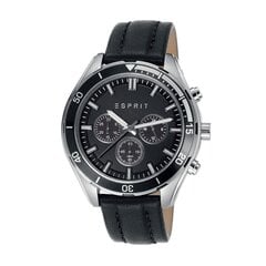 Мужские часы Esprit Alvarado 901009893 цена и информация | Мужские часы | kaup24.ee