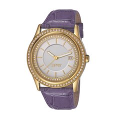 Esprit женские часы Double Twinkle 901009804 цена и информация | Женские часы | kaup24.ee