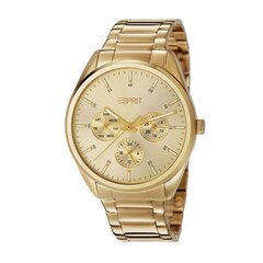 Esprit женские часы Glandora  901009815 цена и информация | Женские часы | kaup24.ee