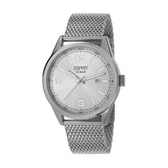 Esprit meeste käekell Menlo Mesh 901009835 цена и информация | Мужские часы | kaup24.ee