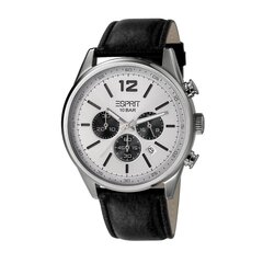 Мужские наручные часы Esprit Menlo 901009837 цена и информация | Мужские часы | kaup24.ee