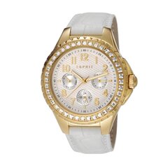 Esprit женские часы Benicia  901009858 цена и информация | Женские часы | kaup24.ee