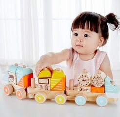 Деревянный буксируемый поезд, 1 год + цена и информация | Игрушки для малышей | kaup24.ee