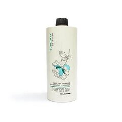 Elgon Sublimia Beautifying Cleanser 250ml hind ja info | Šampoonid | kaup24.ee