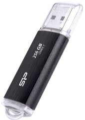 Флеш-накопитель Silicon Power 256ГБ Blaze B02, черный цена и информация | USB накопители данных | kaup24.ee