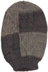 Шапка цена и информация | Мужские шарфы, шапки, перчатки | kaup24.ee