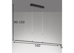 Подвесной светильник Fischer & Honsel Metz цена и информация | Люстры | kaup24.ee