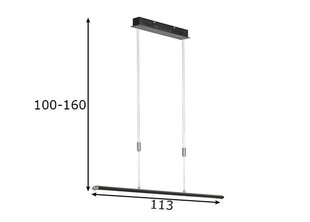Подвесной светильник Fischer & Honsel Beat цена и информация | Потолочный светильник, 38 x 38 x 24 см | kaup24.ee