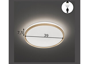 Laelamp Jaso BS LED 891099646 hind ja info | Laelambid | kaup24.ee