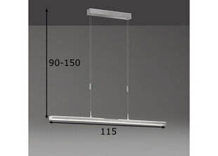 Светодиодный потолочный светильник, оттенок никеля, 30 и 4,5 Вт / 3300 лм 891099673 цена и информация | Потолочные светильники | kaup24.ee