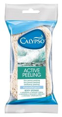 Spontex Pesusvamm Active Peeling 1 tk цена и информация | Масла, гели для душа | kaup24.ee
