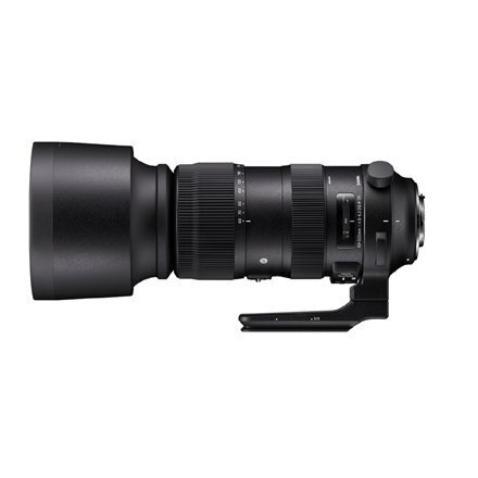 Sigma 60-600mm f/4.5-6.3 DG OS HSM Sports objektiiv Nikonile цена и информация | Objektiivid | kaup24.ee