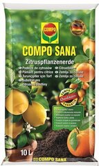 Substraat tsitruselistele COMPO SANA hind ja info | Muld, turvas, kompost | kaup24.ee