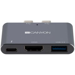 Canyon CNS-TDS01DG sülearvuti dokk ja pordireplikaator Hall цена и информация | Адаптеры и USB-hub | kaup24.ee