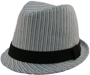 Летняя узкополая шляпа цена и информация | Мужские шарфы, шапки, перчатки | kaup24.ee