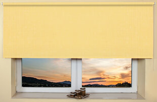 Настенный/потолочный ролет 100x170 см, 2072 Желтый цена и информация | Рулонные шторы | kaup24.ee