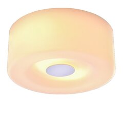 Потолочный светильник G.LUX GZ-035/2 со стеклянным абажуром цена и информация | Потолочные светильники | kaup24.ee
